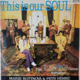The Flamingo Group featuring Marie Rottrova & Petr Nemec / This Is Our Soul
