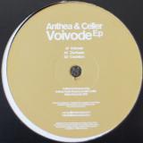 Anthea & Celler / Voivode EP