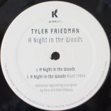 Tyler Friedman / A Night In The Woods