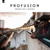 Profusion (K15 & Emeson) Where Do I Begin -LP-