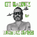 DJ HARVEY / DJ HARVEY IS THE SOUND OF MERCURY RISING VOL.2  (試聴盤)