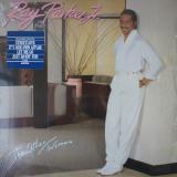 Ray Parker Jr. / The Other Woman