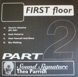 Theo Parrish / First Floor (Part 2)