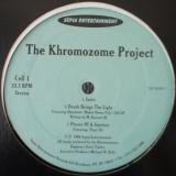 The Khromozomes / The Khromozome Project