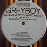 Greyboy / Genevieve